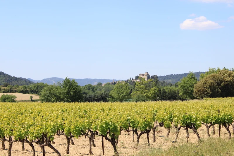 Ansouis chateau Luberon villages Provence France Rent-Our-Home rentourhomeinprovence vineyard