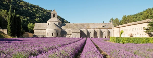 Roussillon, Gordes and the Senanque Abbey